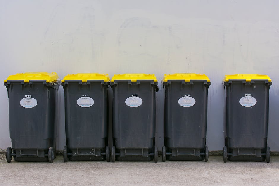 A row of five large black wheeled rubbish bins with yellow lids is positioned against a plain, light grey wall on a concrete surface. Each bin has a white oval label with numerical codes and text, indicating their identification or service details. The bins are made of durable plastic with a textured finish, and the yellow lids are smooth, contrasting with the darker bodies. The bins are evenly spaced and aligned, with some showing slight signs of use and minor scratches on the surface. The environment appears to be an outdoor area, possibly a back alley or service yard, where private waste collection services like Rubbish Collection Soho may operate, facilitating independent disposal and rubbish removal outside of standard municipal collection. The overall scene is well-lit with soft, natural light, emphasizing the clean but utilitarian appearance of the waste management containers.